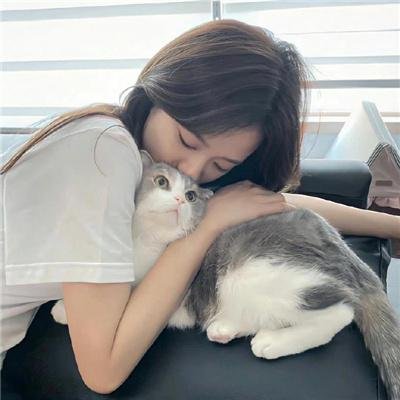 极岛森林第二季